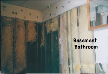 basement bathrm