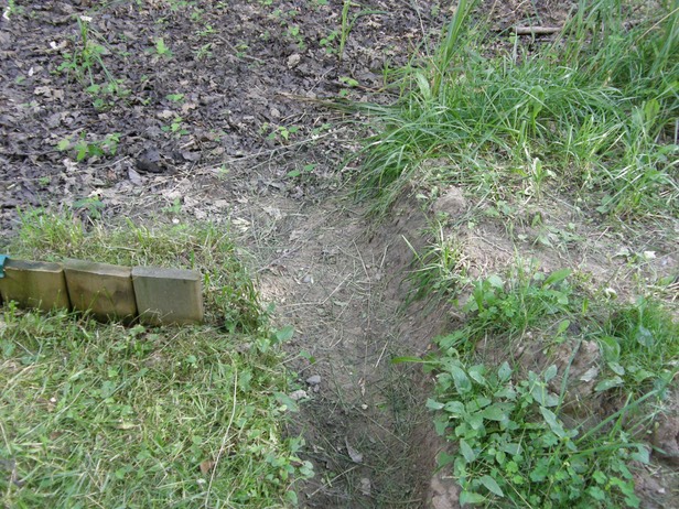 g edwards dig trench on neighbors land